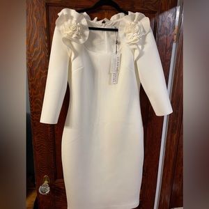 NWT Badgley Mischka Scuba Dress